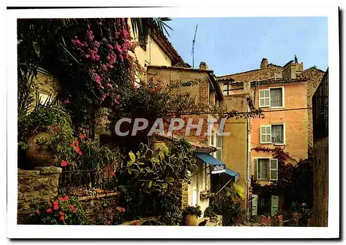 Cartes postales moderne La Cote d'Azur Bormes Les Mimosas Un Coin Pittoresque