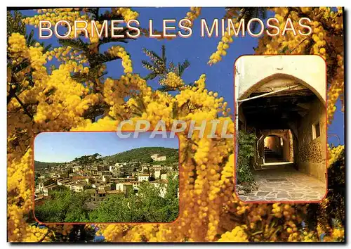 Cartes postales moderne La Cote d'Azur Bormes Les Mimosas