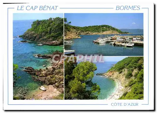 Cartes postales moderne La Cote d'Azur Bormes Les Mimosas Domane Le Cap Benat