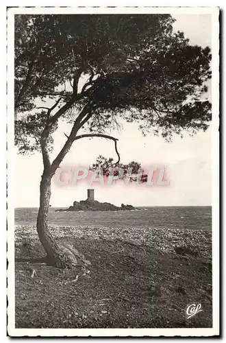 Cartes postales moderne Environs De Saint Raphael Agay L'Ile d'Or