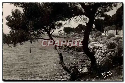 Moderne Karte Bandol Sous Bois Et Bord De Mer Du Capeland