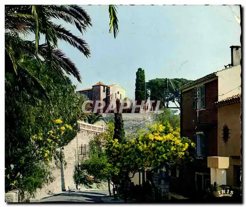 Cartes postales moderne Reflets De La Cote d&#39Azur Bormes Les Mimosas La Chapelle Saint Francois