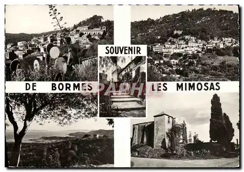 Cartes postales moderne Souvenir De Bormes Les Mimosas