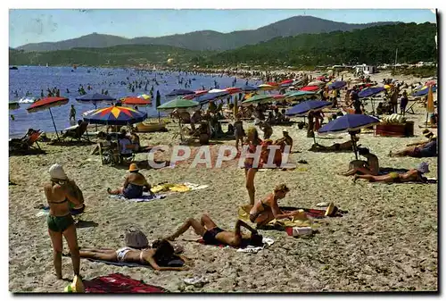 Cartes postales moderne La Cote d'Azur Bormes Les Mimosas La Faviere