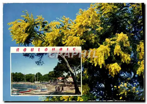 Cartes postales moderne La Cote d'Azur Souvenir De Boulouris