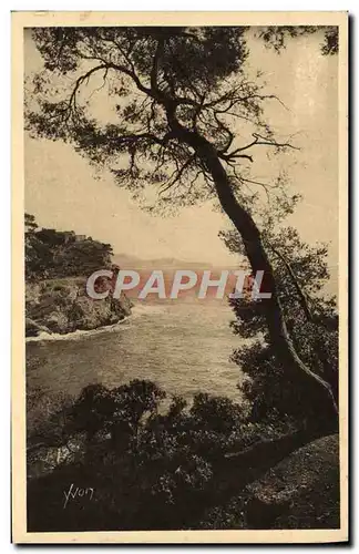 Cartes postales La Douce France D'Azur Toulon Vue Sur Le Cap Brun