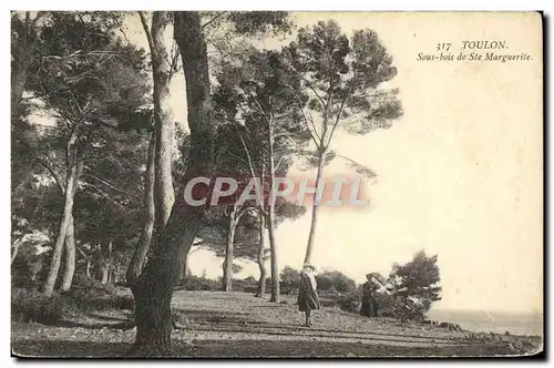 Cartes postales Toulon Sous Bois De Ste Marguerite