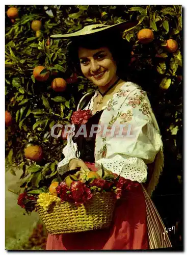 Cartes postales moderne Couleurs Et Lumiere De France La Cote d&#39Azur Cueillette des oranges Femme