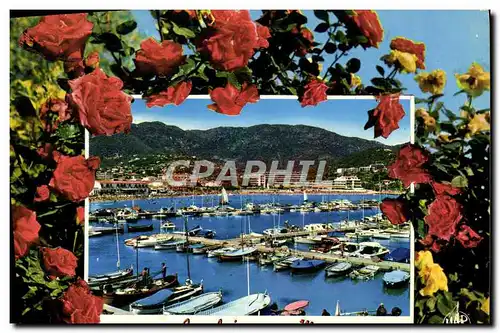 Cartes postales moderne La Cote d'Azur Cavalaire Sur Mer Le Port
