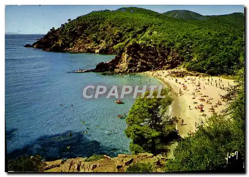 Cartes postales moderne Couleurs Et Lumiere De France Cavalaire Plage De Bon Porto