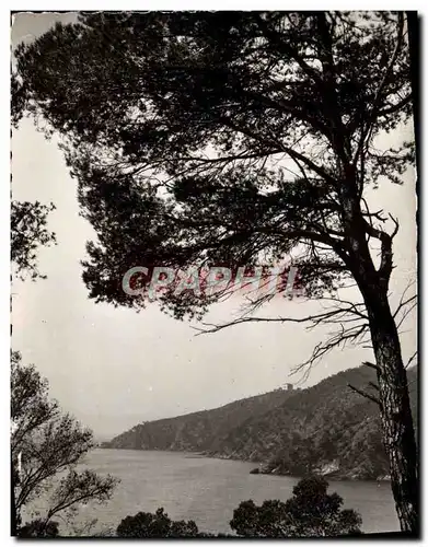 Cartes postales moderne La Cote D&#39Azur Cavalaire Sur Mer Calanques De Bon Porto