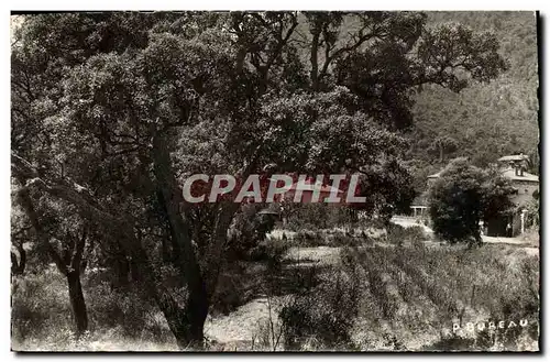 Cartes postales moderne La Cote D&#39Azur Cavalaire Sur Mer Cros Du Mouton