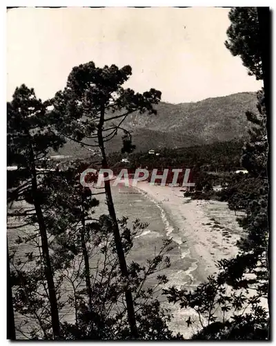 Cartes postales moderne La Corniche Des Maures Cavalaire Echappee Sur Le Golfe