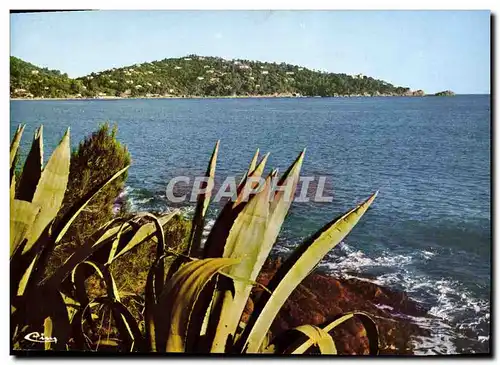 Cartes postales moderne Cavaliere Vue Generale Sur Le Cap Negre