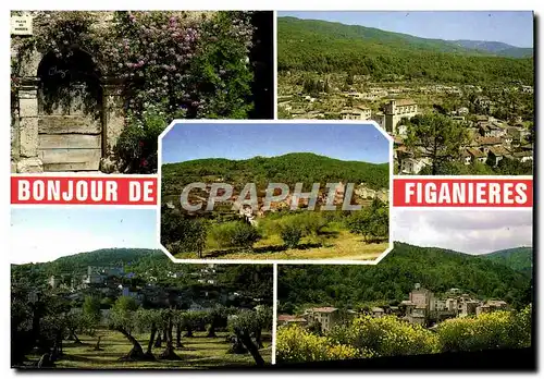 Cartes postales moderne Le Var Pittoresque Figanieres