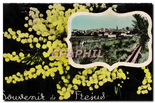 Cartes postales moderne Souvenir De Frejus