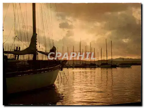 Cartes postales moderne Lumiere Et Beaute De La Cote d&#39Azur Lever Du Jour En Mediterranee