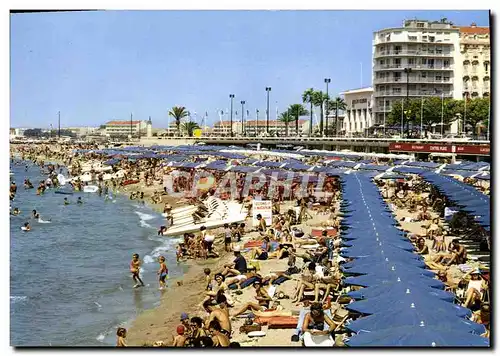 Cartes postales moderne Frejus Saint Raphael La Plage