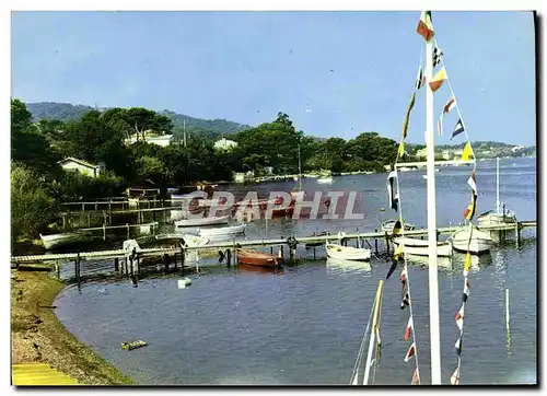 Cartes postales moderne Giens Presqu&#39ile De Giens La Madrague