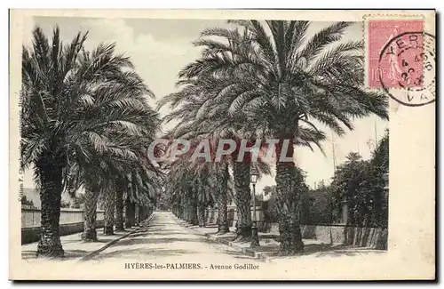 Cartes postales Hyeres Les Palmiers Avenue Godillot