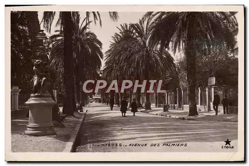 Cartes postales Hyeres Avenue Des Palmiers