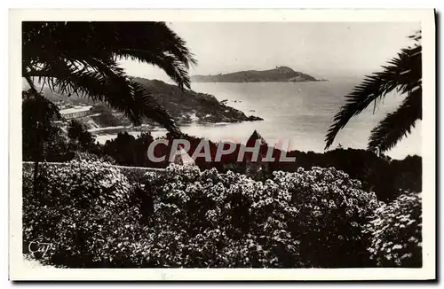 Cartes postales Hyeres Les Palmiers Giens Vue Sur l'ile de Ribaud