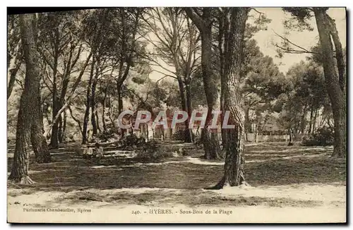 Cartes postales Hyeres Sous Bois de La Plage