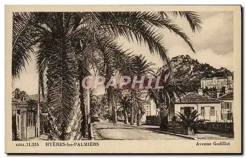 Cartes postales Hyeres Les Palmiers Avenue Godillot