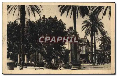 Cartes postales Hyeres Les Palmiers Avenue de Belgique