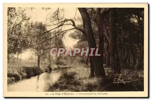 Cartes postales Hyeres Les sous bois du Ceinturon