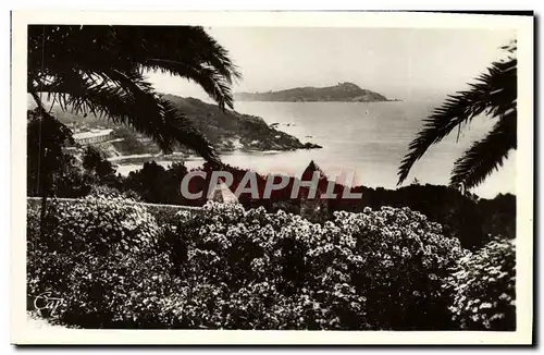 Cartes postales Hyeres les Palmiers Giens Vue Sur l'ile de Ribaud