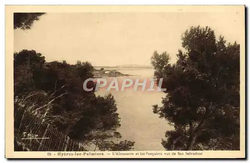 Ansichtskarte AK Hyeres les Palmiers L&#39Almanarre et les Pesquiers vus de San Salvadour