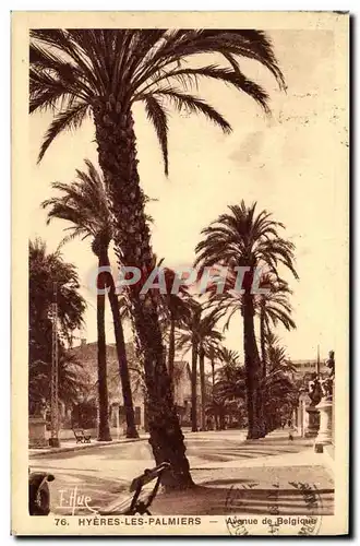 Cartes postales Hyeres les Palmiers Avenue de Belgique