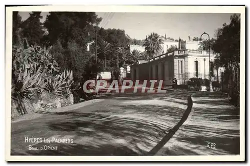 Cartes postales Hyeres Les Palmiers Boulevard d'Orient