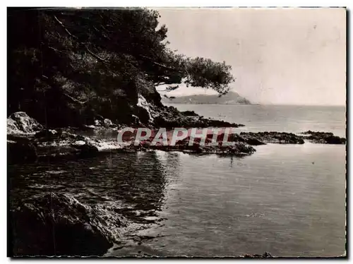 Cartes postales moderne Hyeres Porquerolles vu du Port du Niel