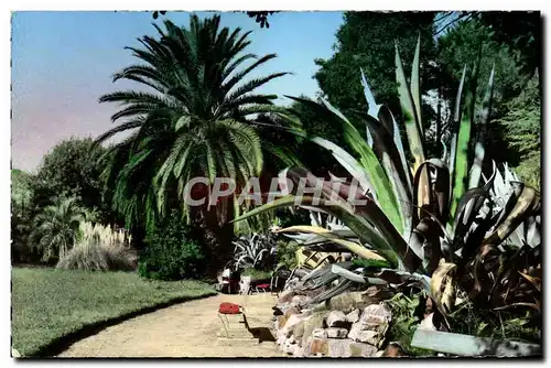 Cartes postales moderne Hyeres Les Palmiers Jardin Olbius Riquier