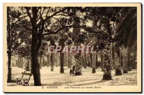 Cartes postales Hyeres Les Palmiers au Jardin Denis