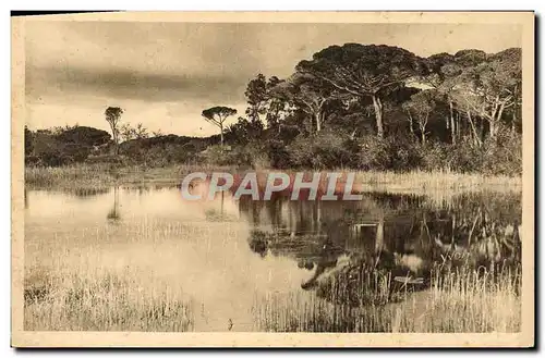 Ansichtskarte AK Hyeres Paysage sur la Route de la Plage