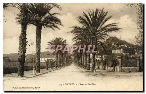 Cartes postales Hyeres L&#39Avenue Godillot