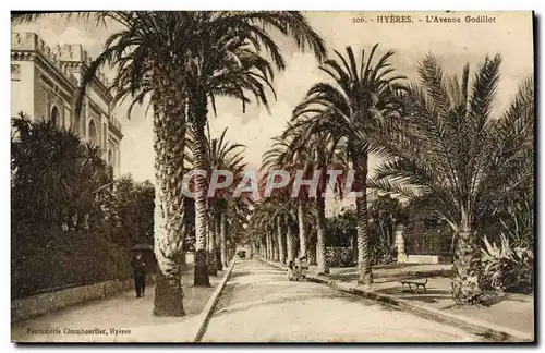 Cartes postales Hyeres L&#39Avenue Godillot