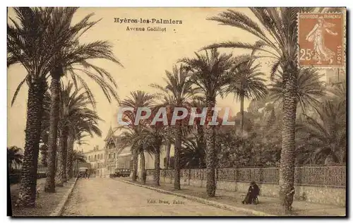 Cartes postales Hyeres les Palmiers Avenue Godillot