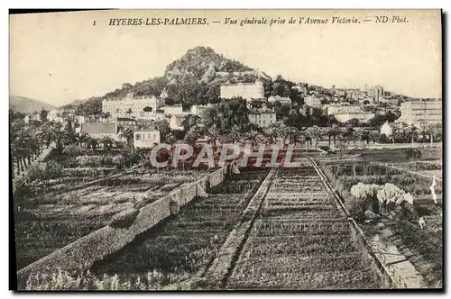 Cartes postales Hyeres Les Palmiers Vue Generale prise de I&#39Avenue Victoria