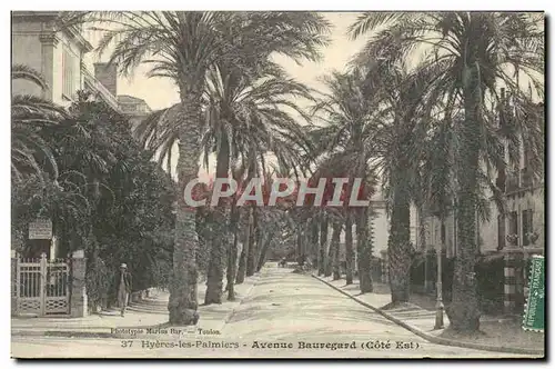 Cartes postales Hyeres les Palmiers Avenue Bauregard Cote Est