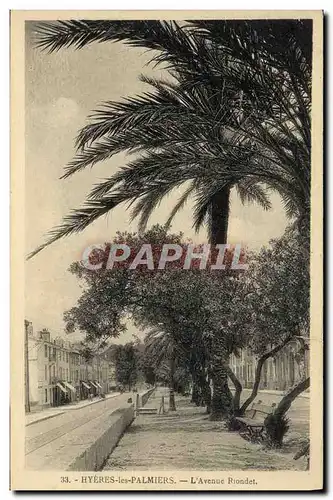 Cartes postales Hyeres les Palmiers L'Avenue Riondet