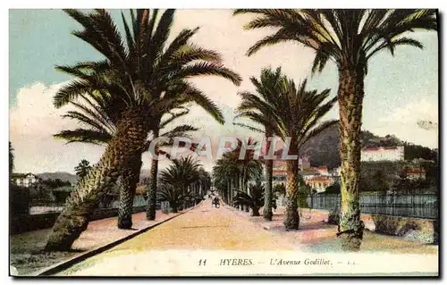 Cartes postales Hyeres L'Avenue Godillot