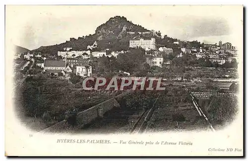 Cartes postales Hyeres Les Palmiers Vue Genrale Prise de I&#39Avenue Victoria