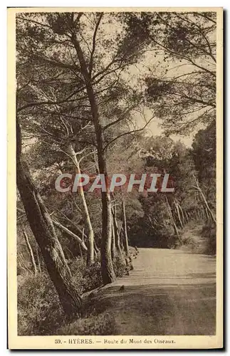 Cartes postales Hyeres Route du Mont des Oiseaux