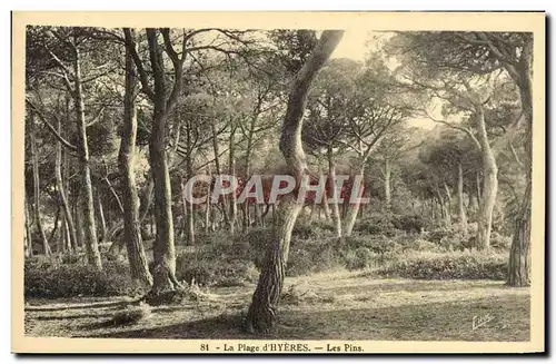 Cartes postales La Plage d'Hyeres Les Pins