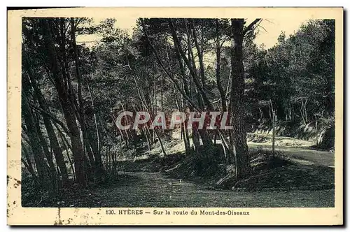 Ansichtskarte AK Hyeres Sur la route du Mont des Oiseaux