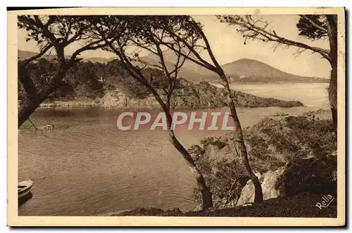 Ansichtskarte AK La Corniche D&#39Or L&#39anse du Camp Long et la pointe de la Baumette